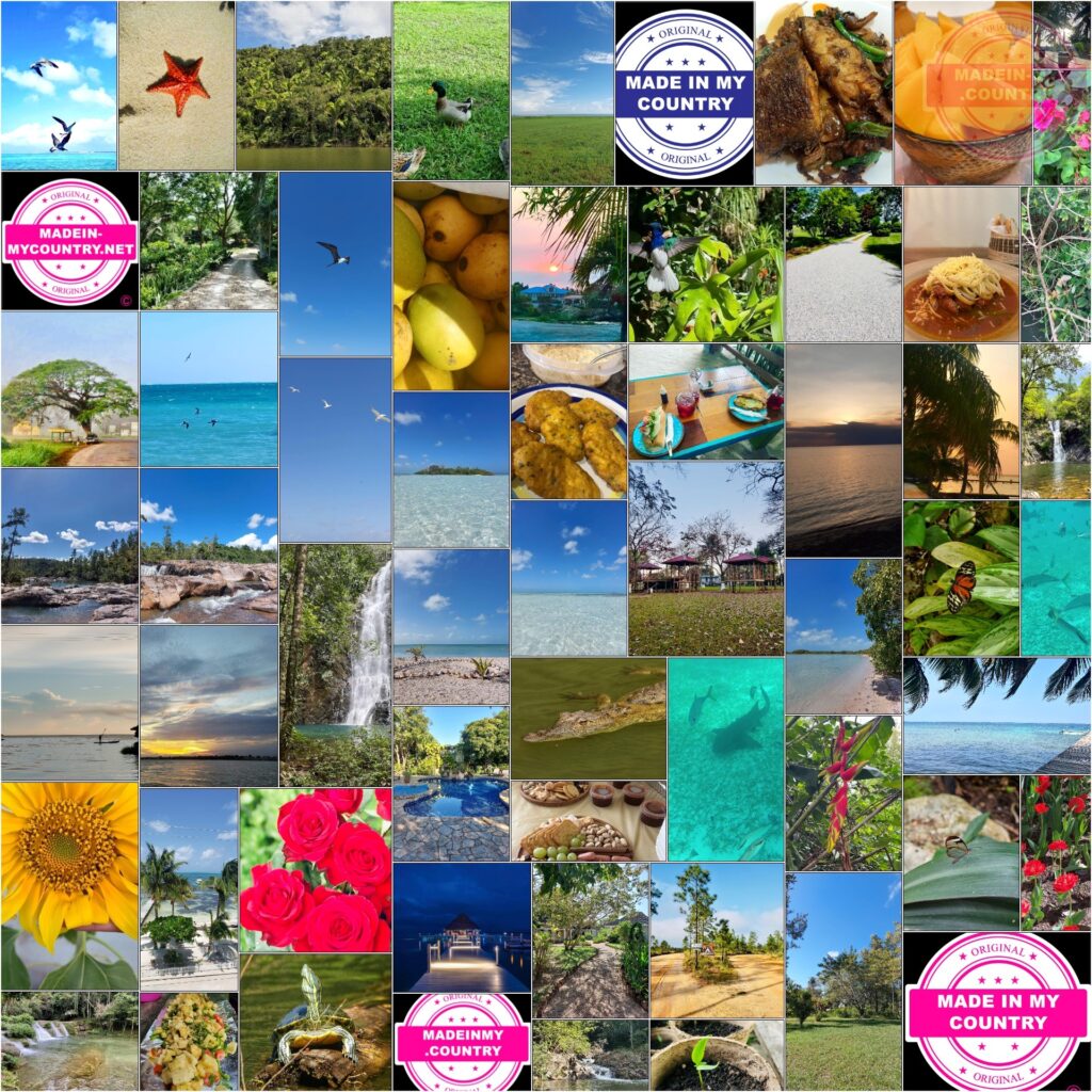 MadeinMycountry Caribbean sea !! MadeinMycountry is a global platform that celebrates and supports local history, culture, art and nature conservation efforts.